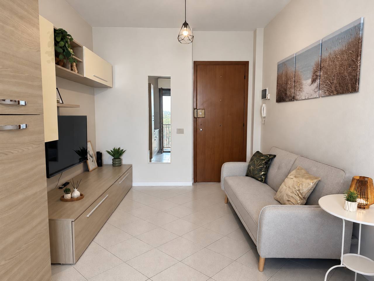 Bright living room with closed sofa and TV